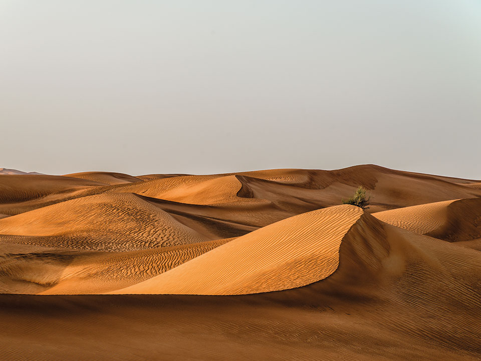 Motiv Wüste mit Hügeln