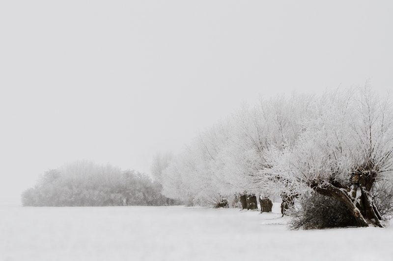 Motiv Winter Wonderland | Foto Matthias Enning