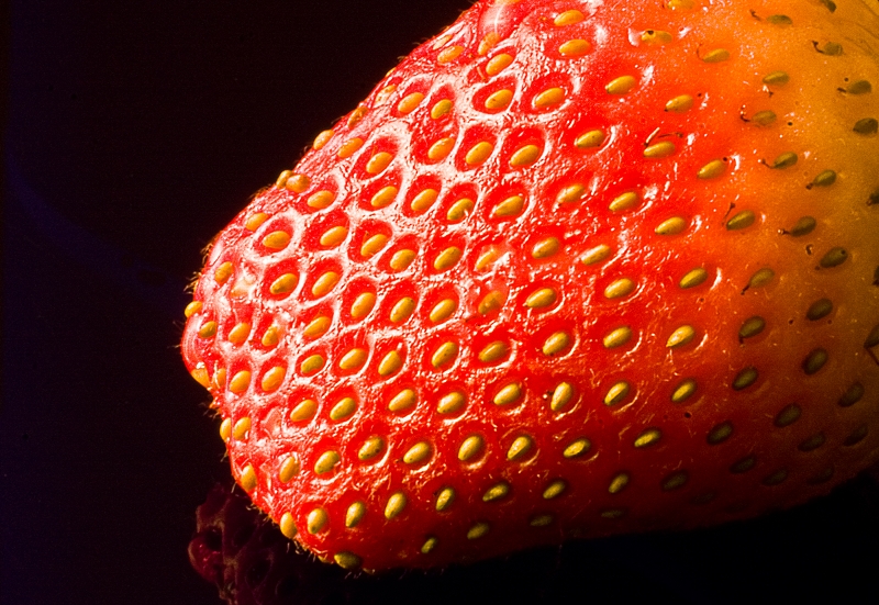 Motiv Erdbeere 